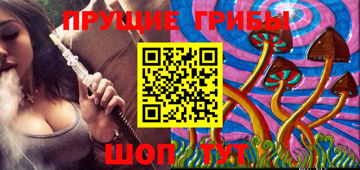 Тольятти  Галлюциногенные грибы GOLDEN TEACHER  Вход с VPN 